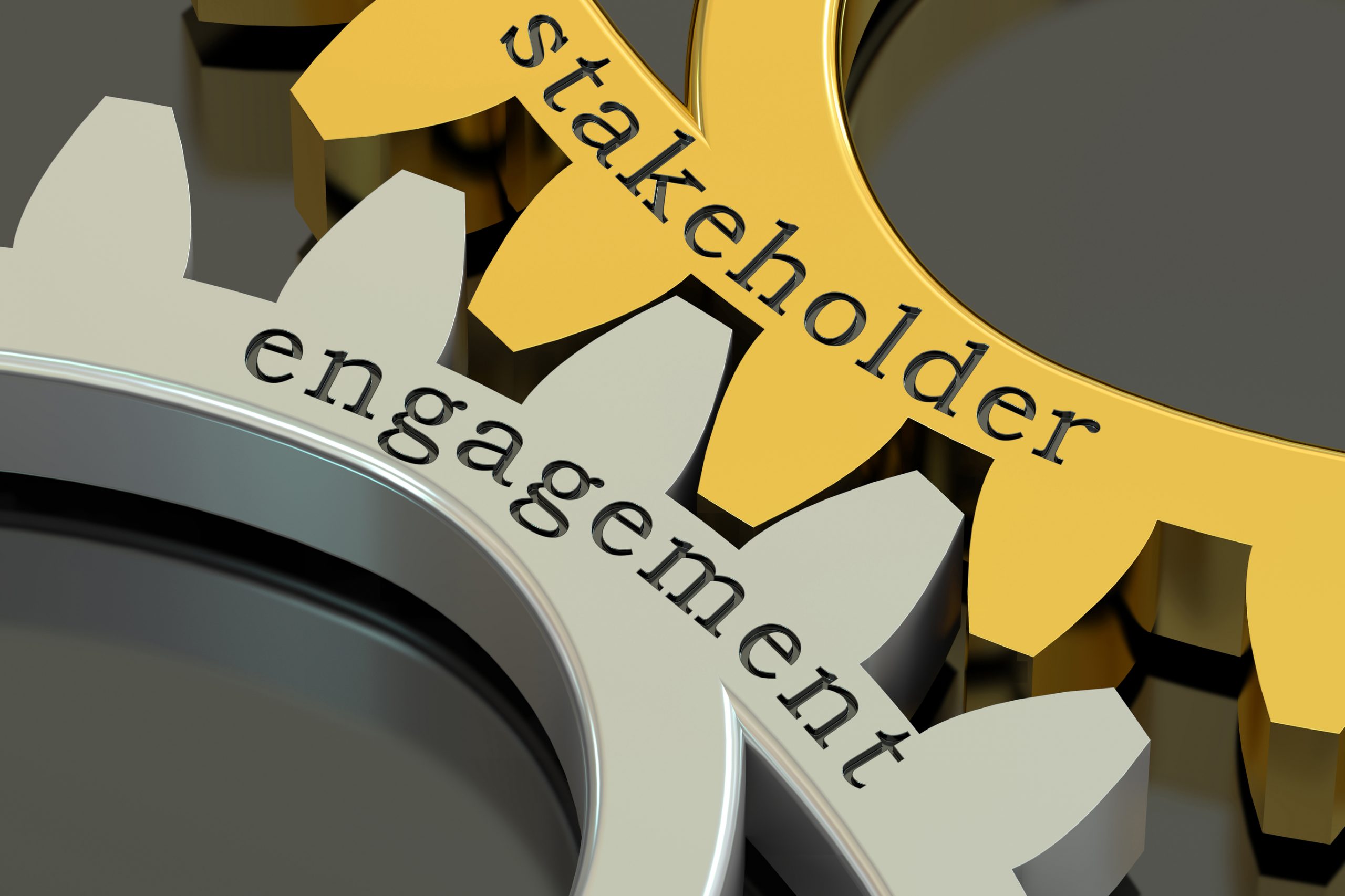 Building and managing stakeholder engagement requires clear lines of communication