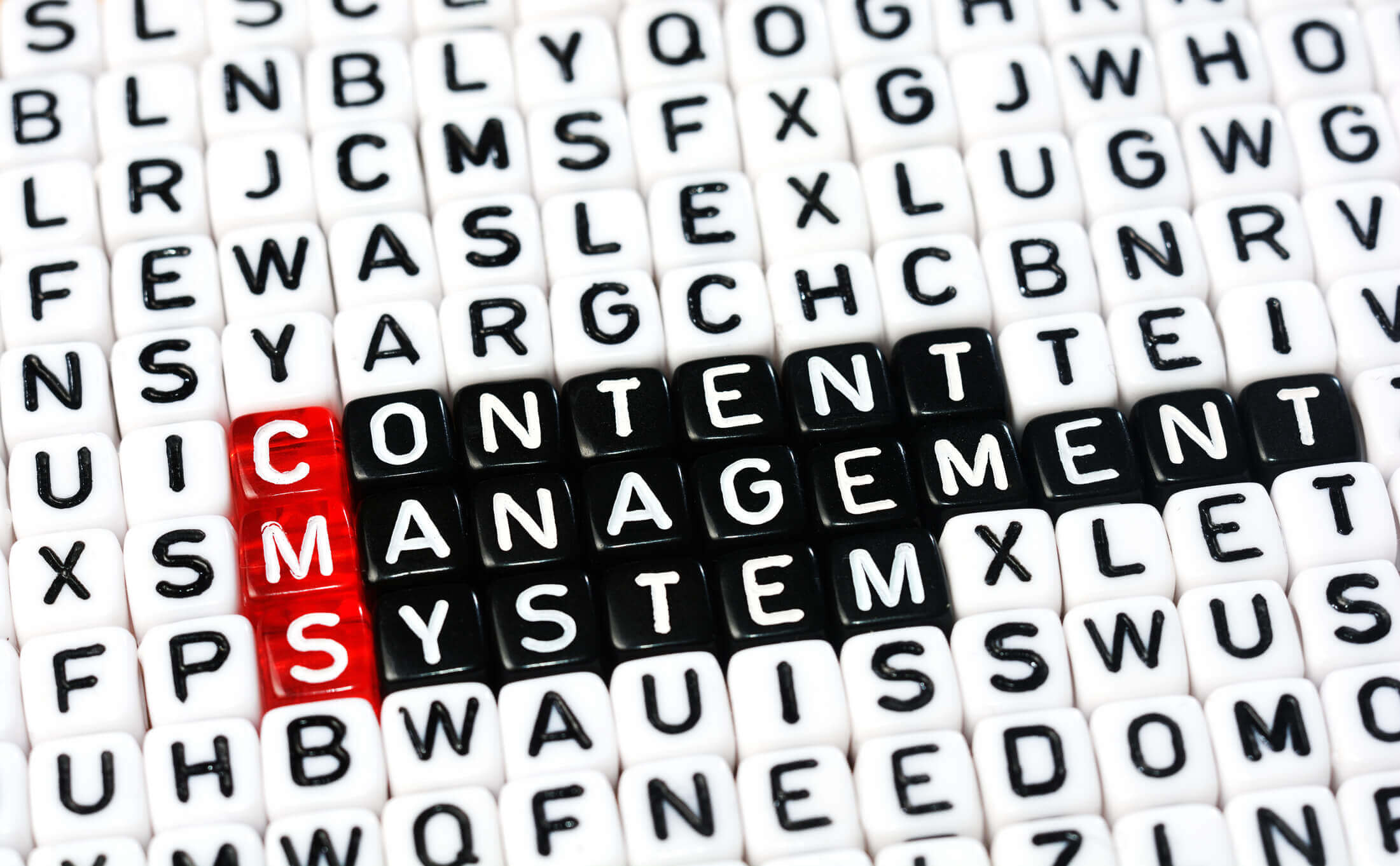 Know how much a content management system costs