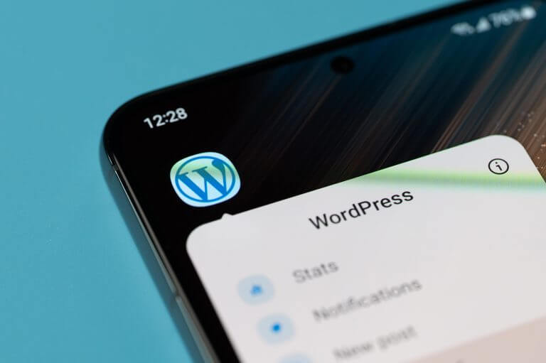 Discover how hard wordpress is to use