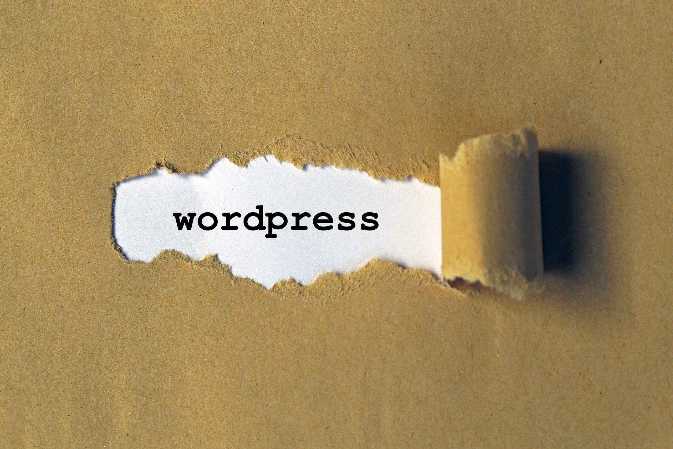 Reasons to use wordpress