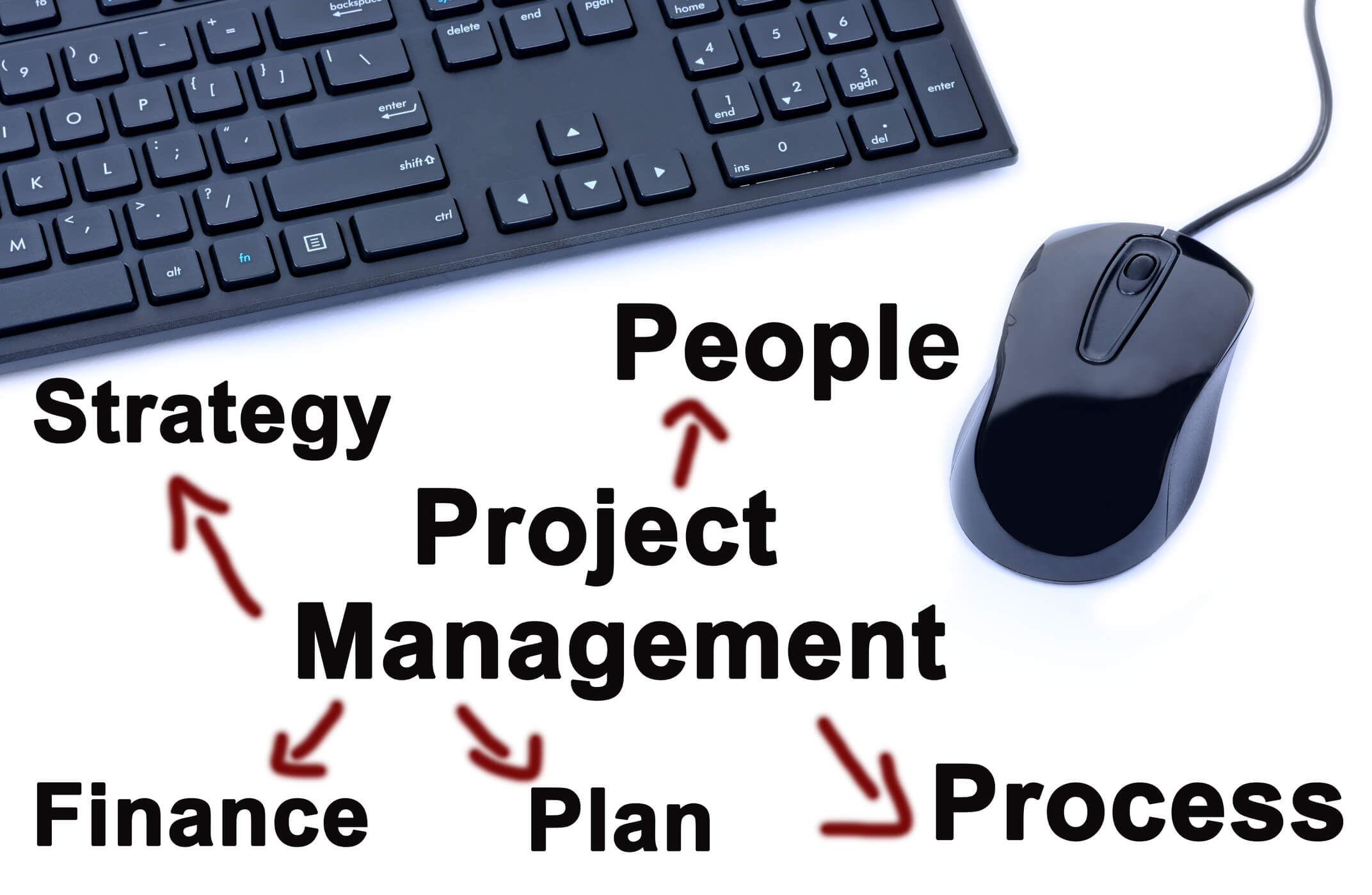 Understand the many elements that a project can fail by