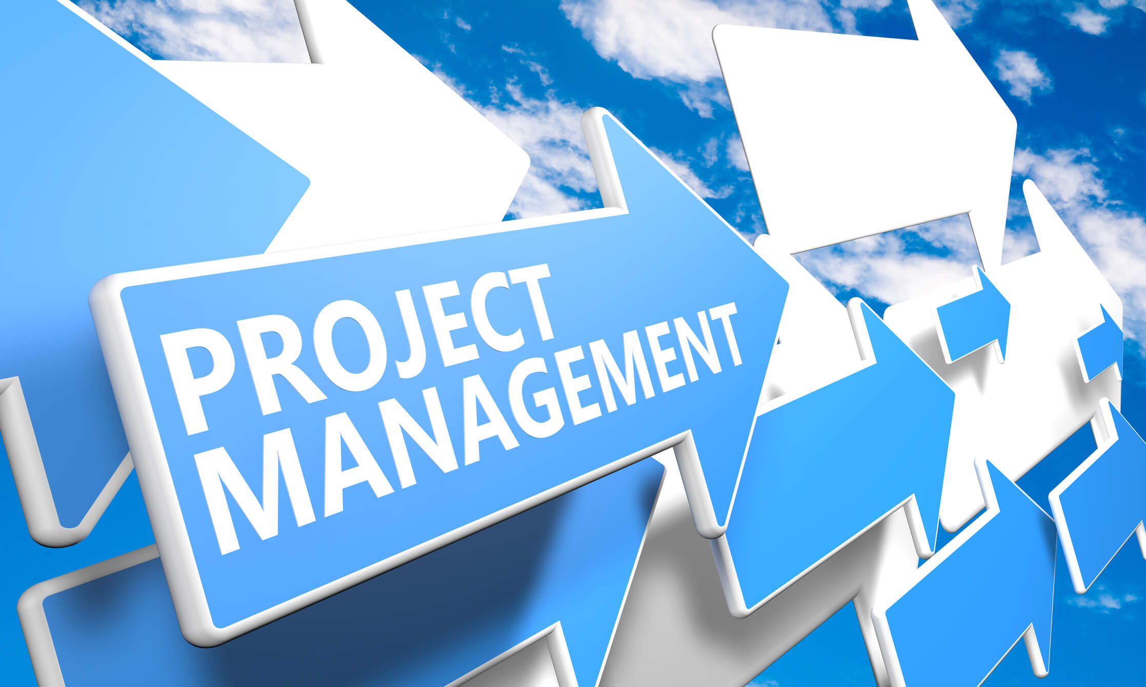 Understand the seven principles of project management