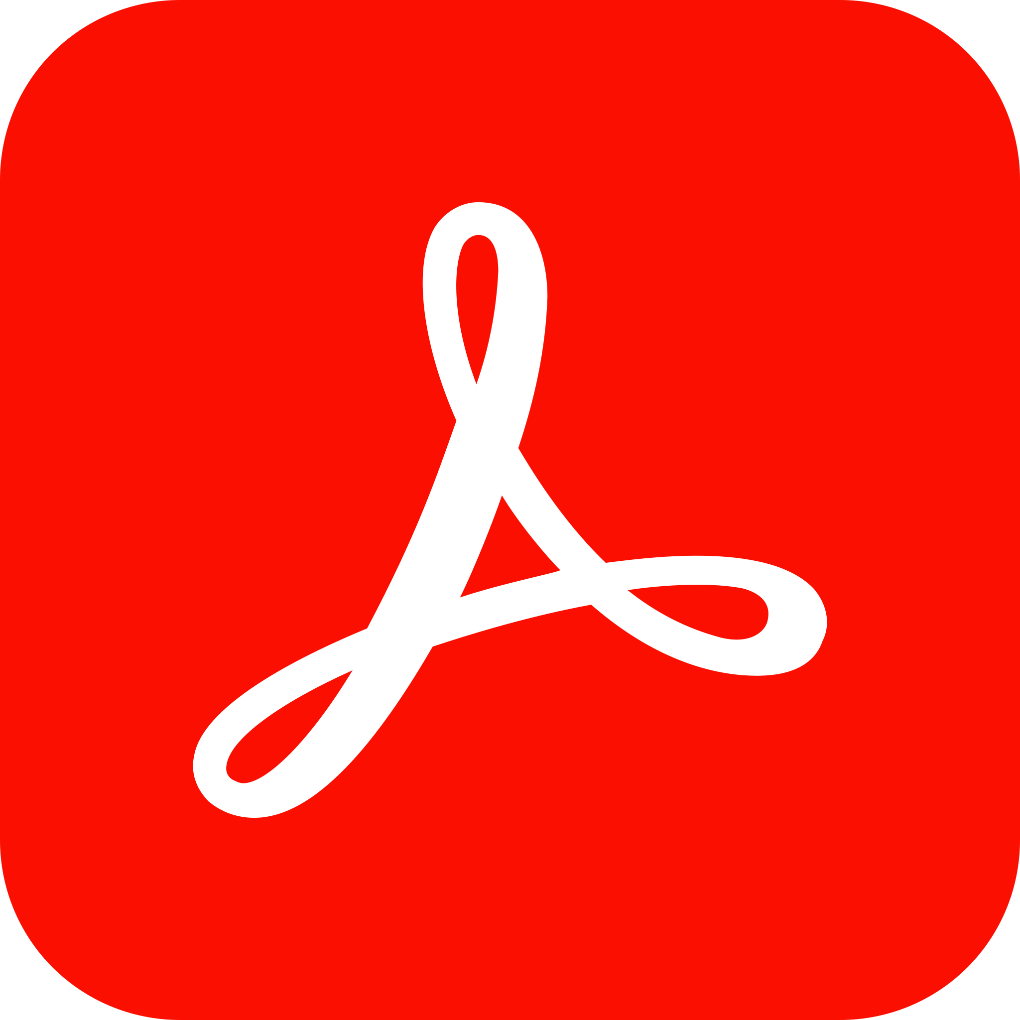 Adobe reader logo