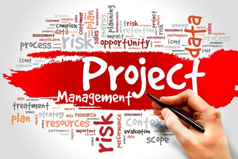 Identifying the essential steps in project management