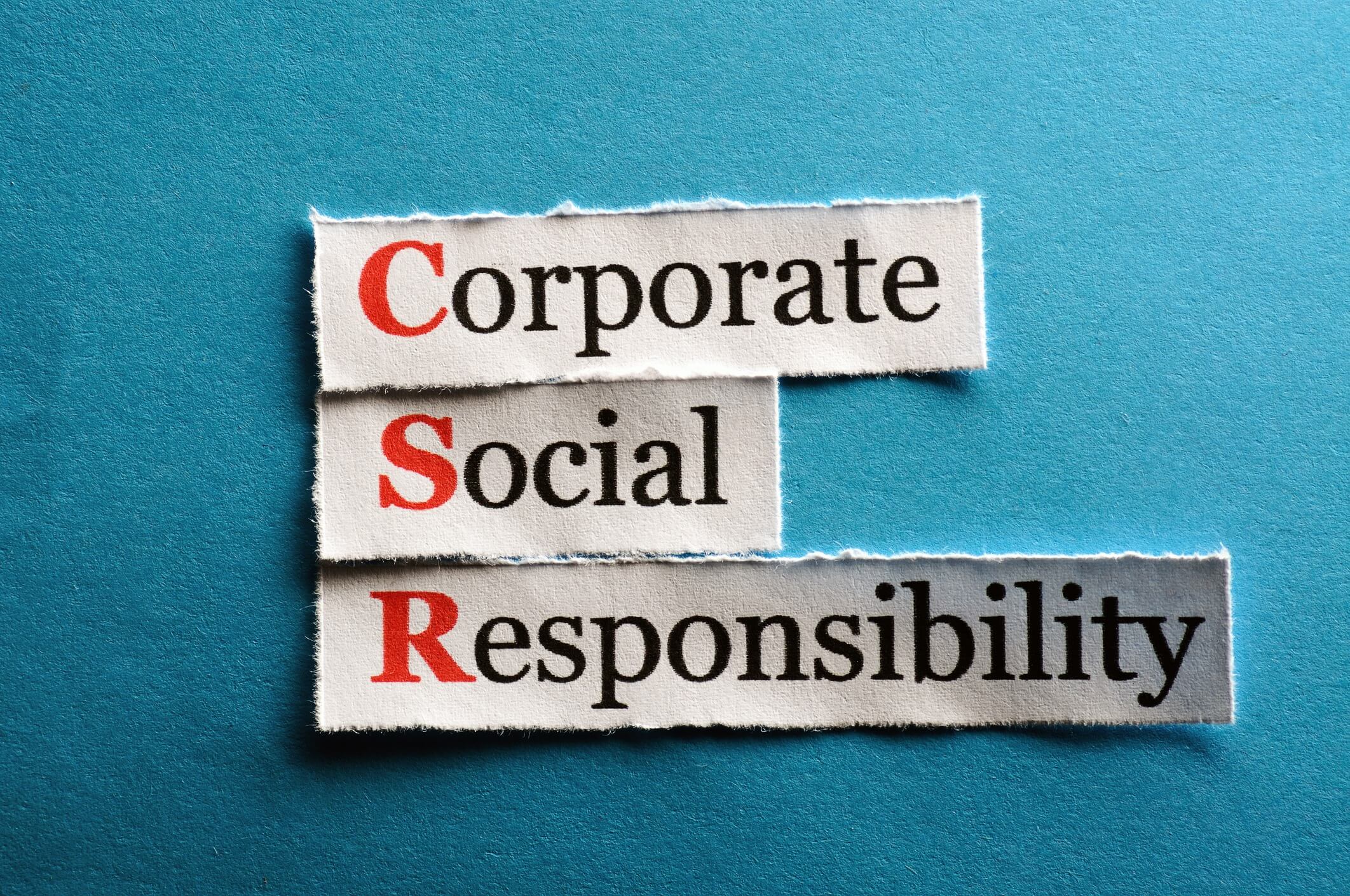 Organisations that take corporate social responsibility seriously