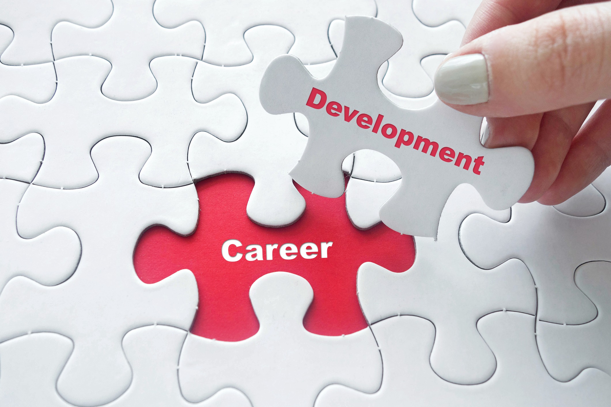 The many pieces of career development